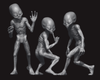 Grey Aliens - Image 1