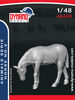 Animals Serie - Horse No.2