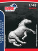 Animals Serie - Dead Horse