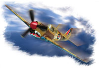 P-40M Kitty hawk - Image 1