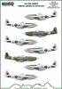 303 Squadron North Ameriacan Mustangs